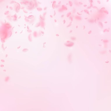 Sakura yaprakları aşağı düşen. Yağmurun romantik pembe çiçekler. Yaprakları pembe kare arka plan üzerinde uçan. Aşk, romantizm kavramı. Tertemiz düğün davetiyesi.