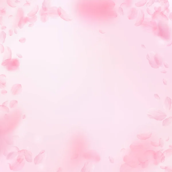 Sakura Petals Falling Romantic Pink Flowers Vignette Flying Petals Pink — Stock Photo, Image