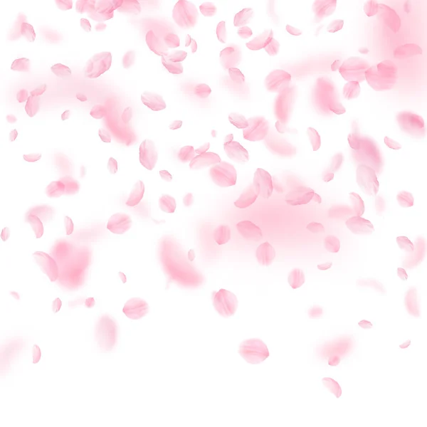 Sakura Petals Falling Romantic Pink Flowers Gradient Flying Petals White — Stock Photo, Image