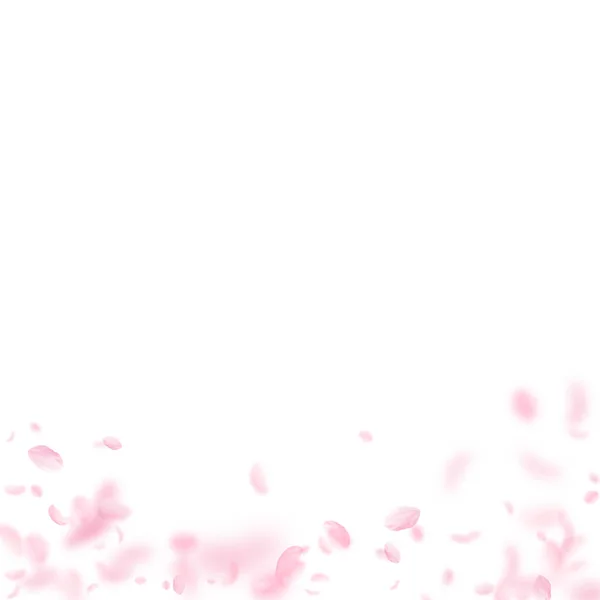 桜の花びらが落ちています ロマンチックなピンクの花のグラデーション 白い正方形の背景に花びらを飛んでいます ロマンス概念 大胆な結婚式招待状 — ストック写真