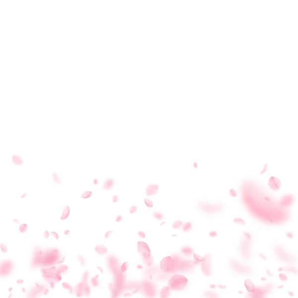 桜の花びらが落ちています ロマンチックなピンクの花のグラデーション 白い正方形の背景に花びらを飛んでいます ロマンス概念 ユニークな結婚式の招待状 — ストック写真