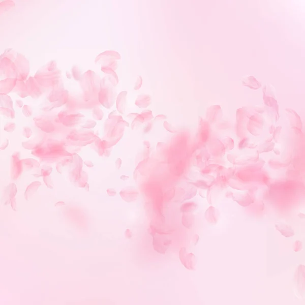 桜の花びらが落ちてきた ロマンチックなピンクの花が降る雨 ピンクの四角形の背景に花びらを飛んで 恋愛概念 信じられない結婚式の招待 — ストック写真
