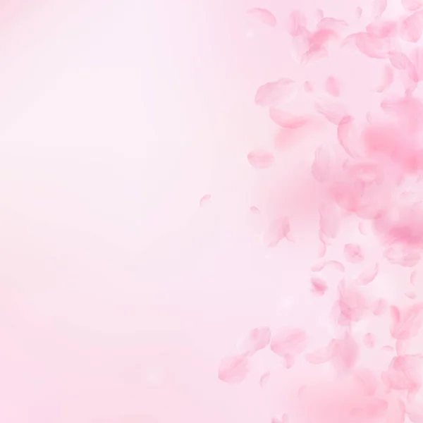 桜の花びらが落ちています ロマンチックなピンクの花のグラデーション ピンクの正方形の背景に花びらを飛んでいます ロマンス概念 愛らしい結婚式招待状 — ストック写真