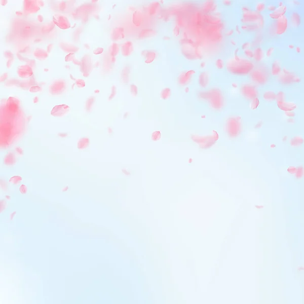 樱花花瓣落下 浪漫的粉红色花朵落下雨 在蓝天广场的背景下飞翔的花瓣 浪漫的概念 优雅的婚礼请柬 — 图库照片