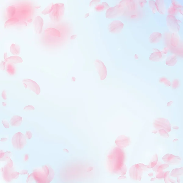 樱花花瓣落下 浪漫的粉红色花朵的插图 在蓝天广场的背景下飞翔的花瓣 浪漫的概念 迷人的婚礼请柬 — 图库照片