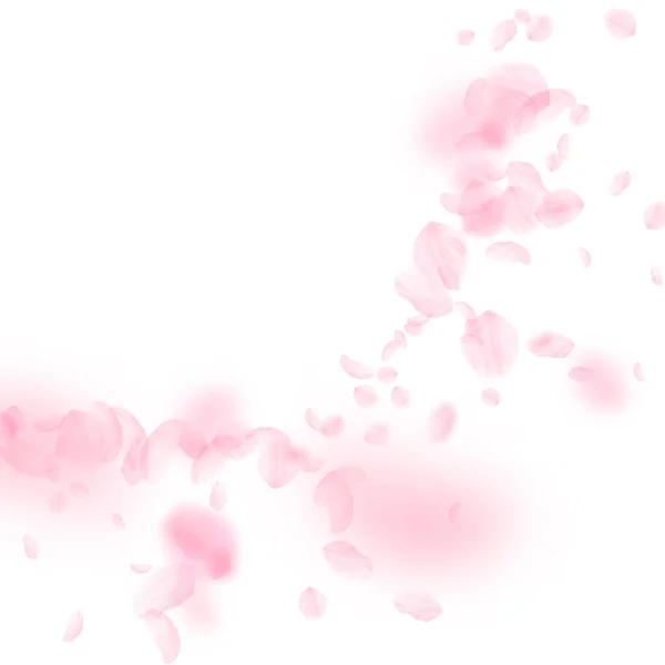 樱花花瓣飘落 浪漫的粉色花朵角落 白色正方形背景上飘扬的花瓣 浪漫的概念 超级婚宴邀请函 — 图库照片