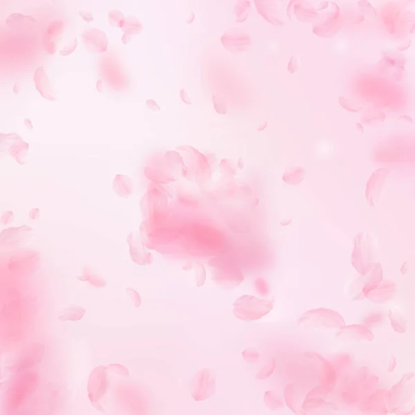 Sakura Bloemblaadjes Vallen Naar Beneden Romantische Roze Bloemen Explosie Vliegende — Stockfoto