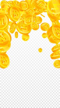 Kore bozuk paraları düştü. Ezici dağınık WON paraları. Kore parası. Akıl almaz bir ikramiye, servet ya da başarı konsepti. Vektör illüstrasyonu.