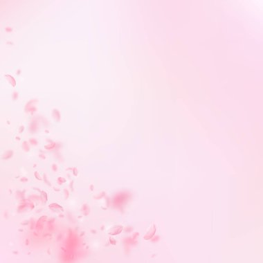 Sakura yaprakları dökülüyor. Romantik pembe çiçek köşesi. Pembe kare arka planda uçan taç yaprakları. Aşk, romantizm kavramı. Alışılmadık düğün davetiyesi.