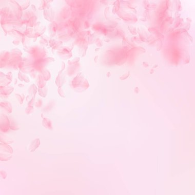 Sakura yaprakları aşağı düşen. Yağmurun romantik pembe çiçekler. Yaprakları pembe kare arka plan üzerinde uçan. Aşk, romantizm kavramı. Mesmeric düğün davetiyesi.