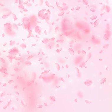 Sakura yaprakları aşağı düşen. Romantik pembe çiçekler degrade. Yaprakları pembe kare arka plan üzerinde uçan. Aşk, romantizm kavramı. Meraklı düğün davetiyesi.