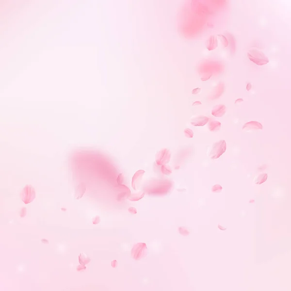 樱花花瓣飘落 浪漫的粉色花朵角落 粉红正方形背景上飘扬的花瓣 浪漫的概念 很好的婚宴请柬 — 图库照片
