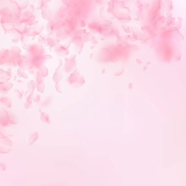 桜の花びらが落ちています ロマンチックなピンクの花は 雨が降っています ピンクの正方形の背景に花びらを飛んでいます ロマンス概念 魅力的な結婚式招待状 — ストック写真