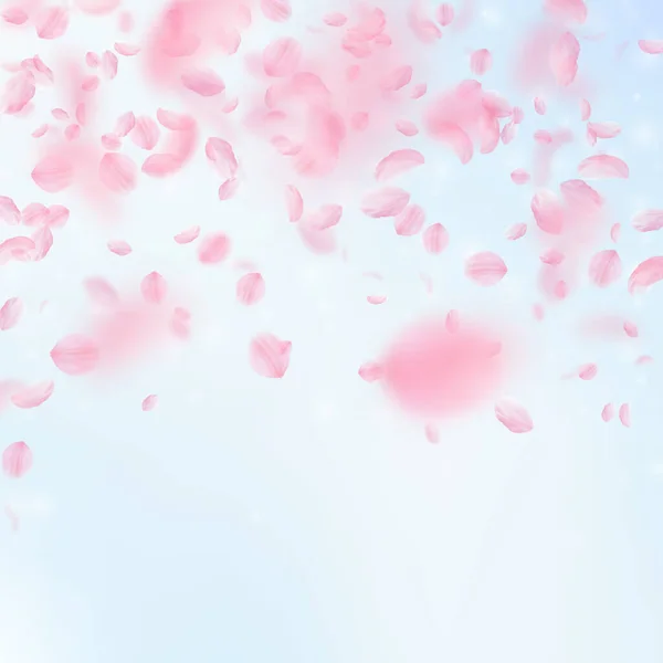 Sakura Petals Falling Romantic Pink Flowers Falling Rain Flying Petals — Stock Photo, Image