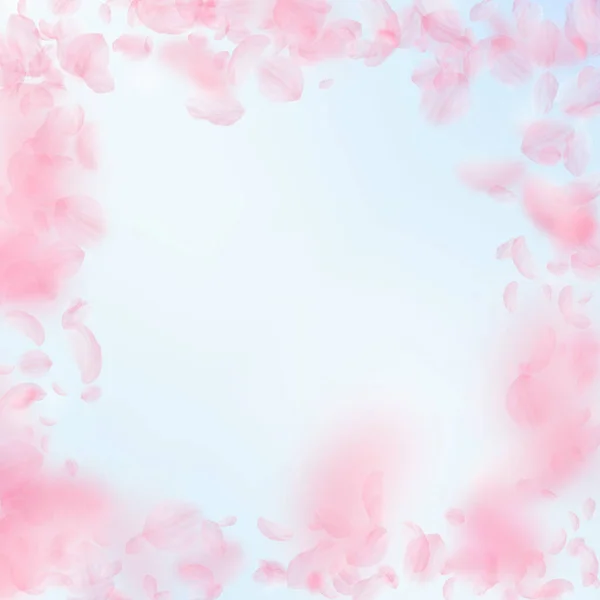 桜の花びらが落ちています ロマンチックなピンクの花のフレーム 青い空の正方形の背景に花びらを飛んでいます ロマンス概念 きちんとした結婚式招待状 — ストック写真