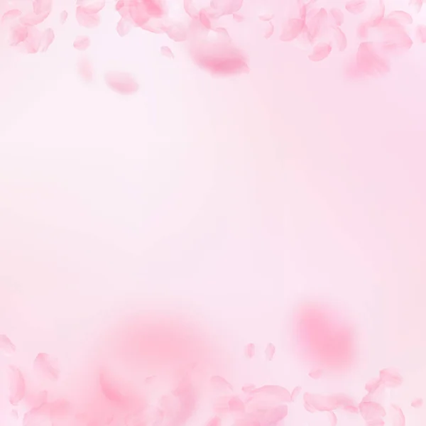 桜の花びらが落ちてきた ロマンチックなピンクの花の境界線 ピンクの四角形の背景に花びらを飛んで 恋愛概念 完璧な結婚式招待状 — ストック写真