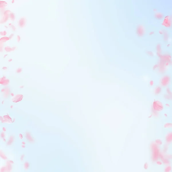 Пелюстки Сакури Падають Романтичні Рожеві Квіти Межують Летючі Пелюстки Синьому — стокове фото