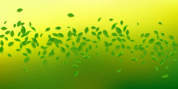 Folhas Verdes Cair Chá Fresco Folhas Caóticas Voando Folhagem Primavera — Fotografia de Stock