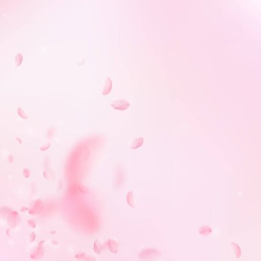 Sakura yaprakları dökülüyor. Romantik pembe çiçek köşesi. Pembe kare arka planda uçan taç yaprakları. Aşk, romantizm kavramı. Harika bir düğün davetiyesi..