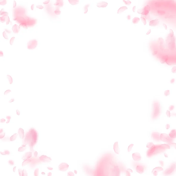 Sakura Bloemblaadjes Vallen Romantische Roze Bloemen Vignet Vliegende Bloemblaadjes Witte — Stockfoto