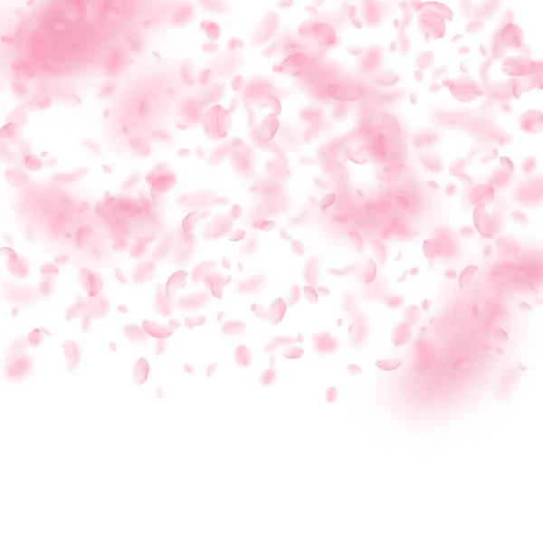 Sakura Petals Falling Romantic Pink Flowers Gradient Flying Petals White — Stock Photo, Image