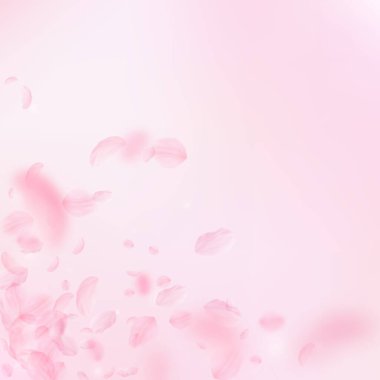 Sakura yaprakları dökülüyor. Romantik pembe çiçek köşesi. Pembe kare arka planda uçan taç yaprakları. Aşk, romantizm kavramı. Otantik düğün davetiyesi.