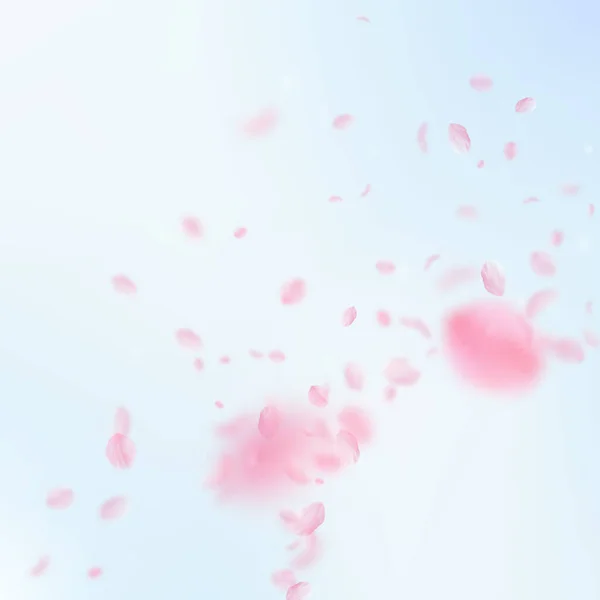 Sakura petals falling down. Romantic pink flowers corner. Flying petals on blue sky square background. Love, romance concept. Unique wedding invitation. — Stock Photo, Image