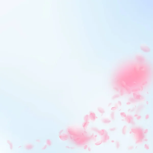 樱花花瓣飘落 浪漫的粉色花朵角落 蓝天正方形背景上飘扬的花瓣 浪漫的概念 超级婚宴邀请函 — 图库照片