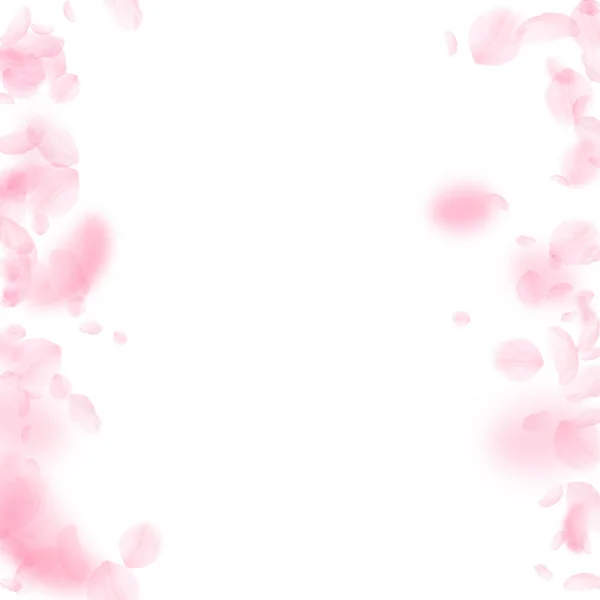 桜の花びらが落ちています ロマンチックなピンクの花のボーダー 白い正方形の背景に花びらを飛んでいます ロマンス概念 完璧な結婚式の招待状 — ストック写真