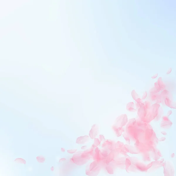 樱花花瓣飘落 浪漫的粉色花朵角落 蓝天正方形背景上飘扬的花瓣 浪漫的概念 时尚的婚宴请柬 — 图库照片