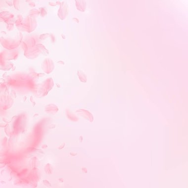 Sakura yaprakları aşağı düşen. Romantik pembe çiçekler degrade. Yaprakları pembe kare arka plan üzerinde uçan. Aşk, romantizm kavramı. Harika düğün davetiyesi.