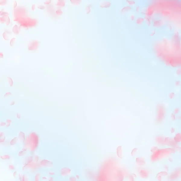 Лепестки Сакуры Падают Романтические Розовые Цветы Виньетка Летающие Лепестки Голубом — стоковое фото