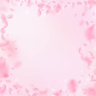 Sakura yaprakları aşağı düşen. Romantik pembe çiçekli çerçeve. Yaprakları pembe kare arka plan üzerinde uçan. Aşk, romantizm kavramı. Değerli düğün davetiyesi.
