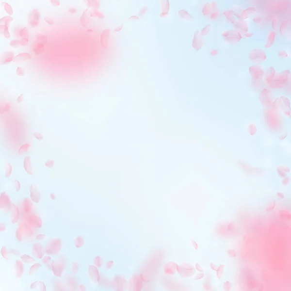 桜の花びらが落ちています ロマンチックなピンクの花は ビネットします 青い空の正方形の背景に花びらを飛んでいます ロマンス概念 まともな結婚式招待状 — ストック写真