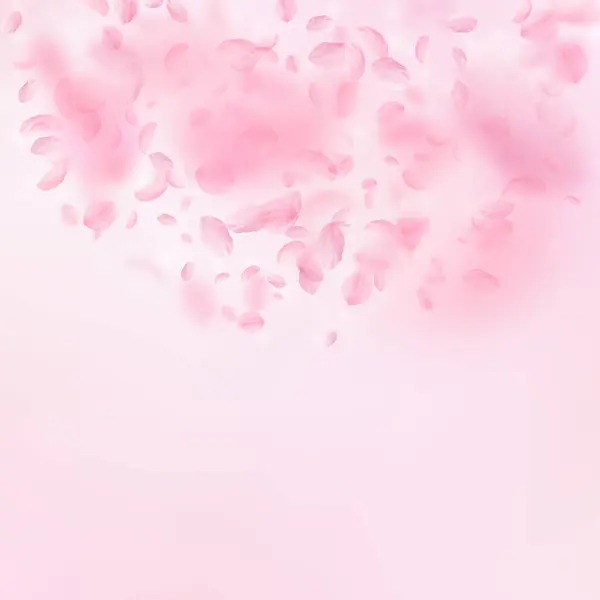 Sakura Petals Falling Romantic Pink Flowers Semicircle Flying Petals Pink — Stock Photo, Image