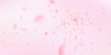Sakura yaprakları aşağı düşen. Romantik pembe çiçekler patlama. Yaprakları geniş pembe uçan. Aşk, romantizm kavramı. Muhteşem düğün davetiyesi.