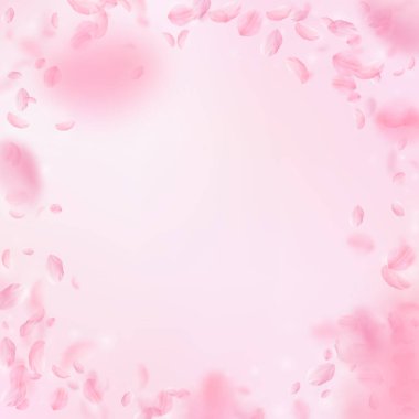 Sakura yaprakları aşağı düşen. Romantik pembe çiçekler skeç. Yaprakları pembe kare arka plan üzerinde uçan. Aşk, romantizm kavramı. Muhteşem düğün davetiyesi.