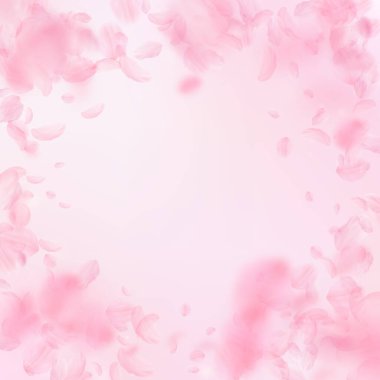 Sakura yaprakları aşağı düşen. Romantik pembe çiçekler skeç. Yaprakları pembe kare arka plan üzerinde uçan. Aşk, romantizm kavramı. Güzel düğün davetiyesi.