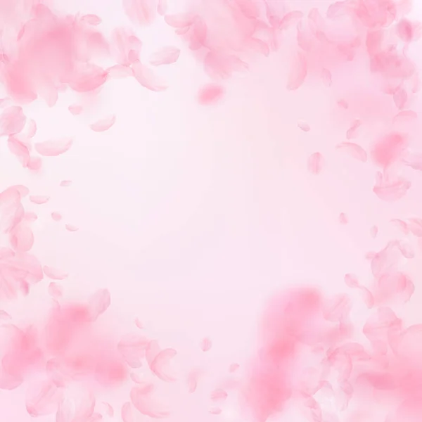 Sakura Petals Falling Romantic Pink Flowers Vignette Flying Petals Pink — Stock Photo, Image