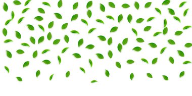 Düşen yeşil yapraklar. Taze çay, rastgele uçuşan yapraklar. Sarı yeşil arka planda bahar yaprakları dans ediyor. Temyiz yaz örtüsü şablonu. İnanılmaz bahar indirimi illüstrasyonu.