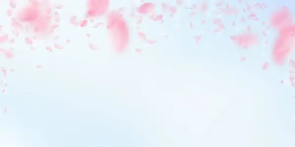 Petalele Sakura Cad Flori Roz Romantice Care Cad Ploaie Petale — Fotografie, imagine de stoc