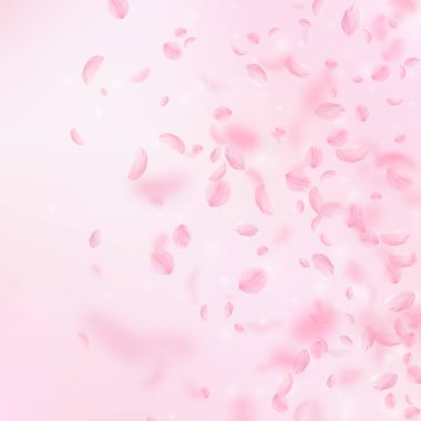 Sakura yaprakları aşağı düşen. Romantik pembe çiçekler degrade. Yaprakları pembe kare arka plan üzerinde uçan. Aşk, romantizm kavramı. Simetrik düğün davetiyesi.