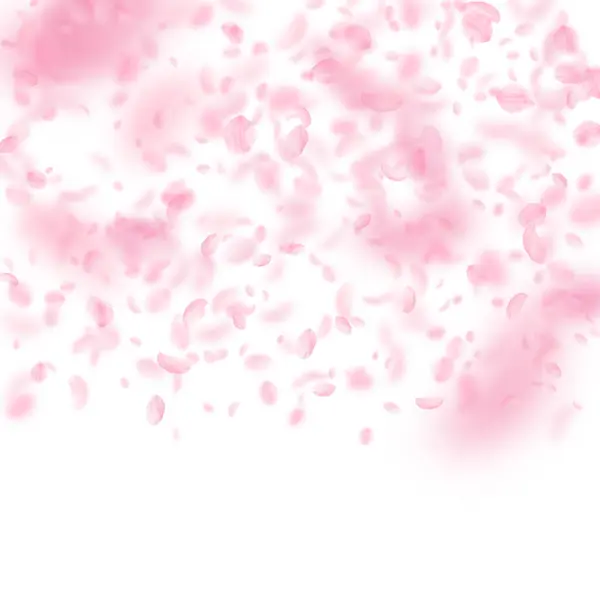 Sakura Petals Falling Romantic Pink Flowers Gradient Flying Petals White — Stock Photo, Image