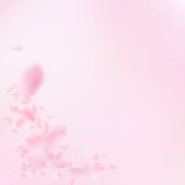 サクラの花びらが落ちていく ロマンチックなピンクの花コーナー ピンクの正方形の背景にフライングペタル ロマンスのコンセプト 珍しい結婚式の招待状 — ストック写真