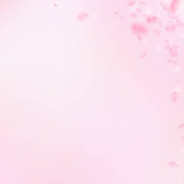 Sakura yaprakları dökülüyor. Romantik pembe çiçek köşesi. Pembe kare arka planda uçan taç yaprakları. Aşk, romantizm kavramı. Görkemli düğün davetiyesi.