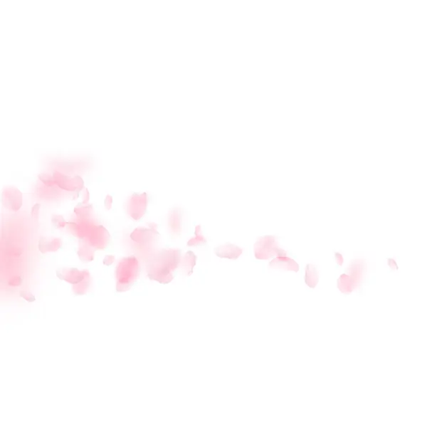 Sakura Szirmok Zuhan Romantikus Rózsaszín Virágok Üstökös Repülő Szirmok Fehér — Stock Fotó