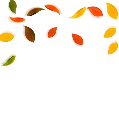 Sonbahar yaprakları dökülüyor. Kırmızı, sarı, yeşil, kahverengi, temiz yapraklar uçuşuyor. Kusursuz beyaz arka planda yağan renkli yapraklar. Okul satışına geri dönmek nefes kesici..