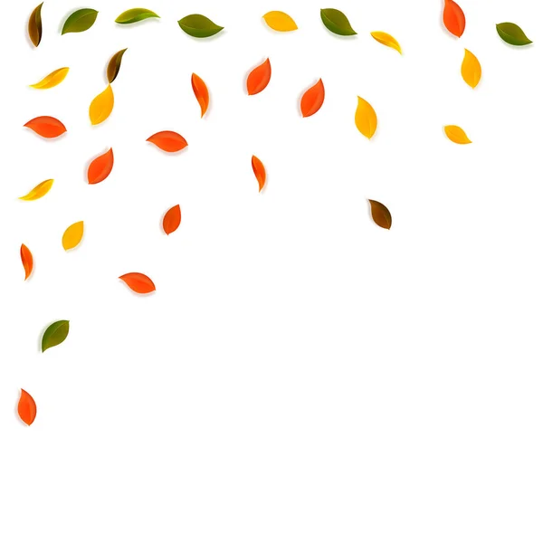 Падающие Осенние Листья Красные Желтые Зеленые Коричневые Случайные Листья Падающая — стоковый вектор