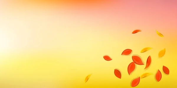 Падающие Осенние Листья Красные Желтые Зеленые Коричневые Аккуратные Листья Летают — стоковый вектор
