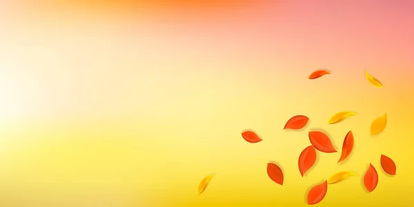 Feuilles Automne Tombantes Feuilles Propres Rouges Jaunes Vertes Brunes Volant — Image vectorielle